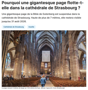 Article actu strasbourg