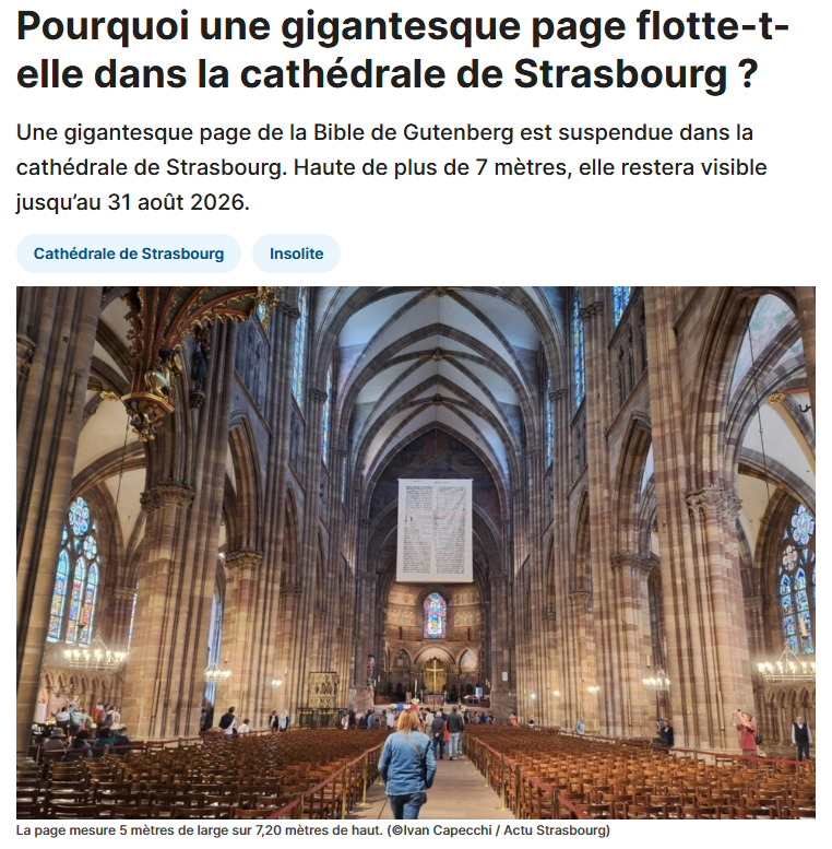 Article actu strasbourg